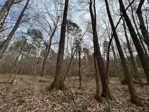 1 Midway Rd, Wesson, MS 39191 photo 4