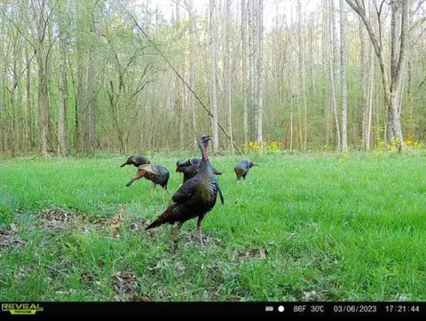 1 Midway Rd, Wesson, MS 39191 photo 32