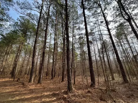 1 Midway Rd, Wesson, MS 39191 photo 18
