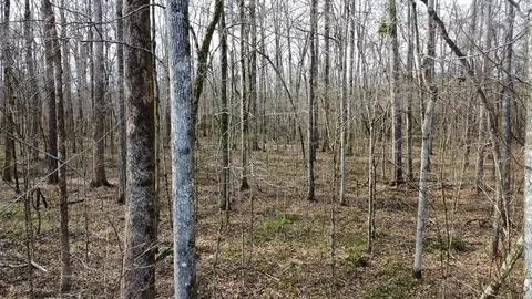 1 Midway Rd, Wesson, MS 39191 photo 14