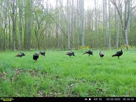 1 Midway Rd, Wesson, MS 39191 photo 31