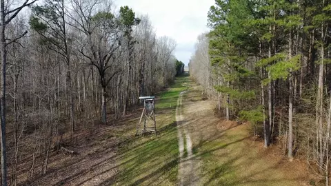 1 Midway Rd, Wesson, MS 39191 photo 15