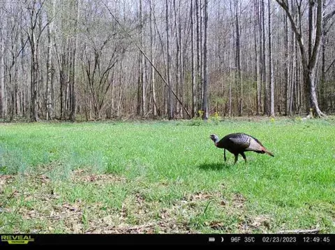 1 Midway Rd, Wesson, MS 39191 photo 25