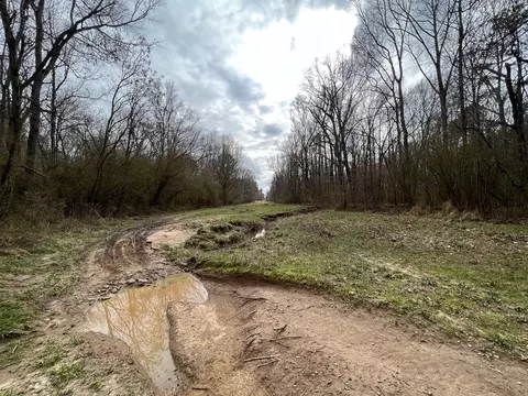 1 Midway Rd, Wesson, MS 39191 photo 3