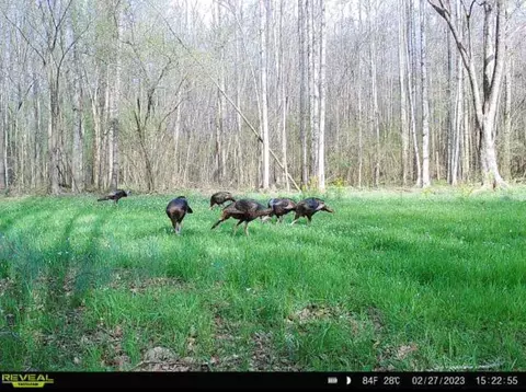 1 Midway Rd, Wesson, MS 39191 photo 28