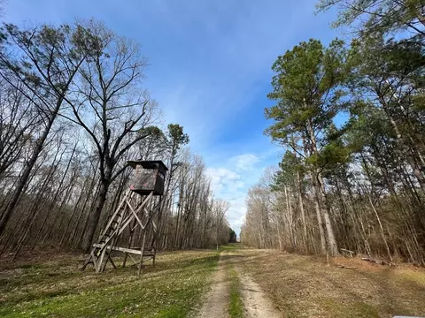 1 Midway Rd, Wesson, MS 39191 photo 17