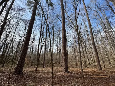 1 Midway Rd, Wesson, MS 39191 photo 16