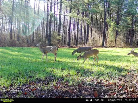 1 Midway Rd, Wesson, MS 39191 photo 2