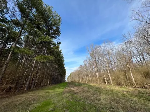 1 Midway Rd, Wesson, MS 39191 photo 19