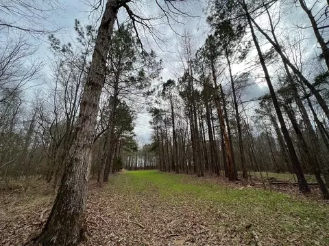 1 Midway Rd, Wesson, MS 39191 photo 11