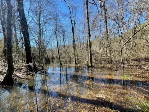 1048 Greens Creek Rd, Carson, MS 39427 photo 7