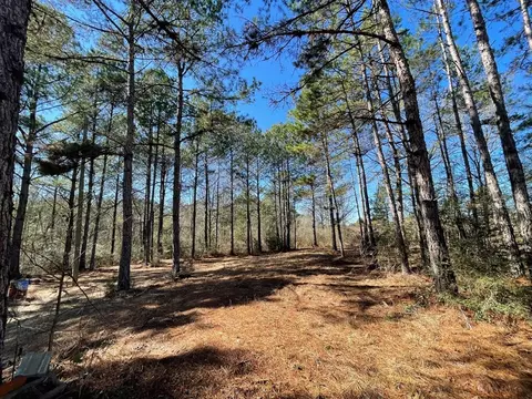 1048 Greens Creek Rd, Carson, MS 39427 photo 13