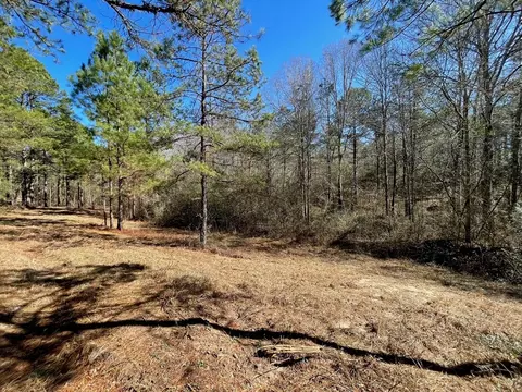 1048 Greens Creek Rd, Carson, MS 39427 photo 8