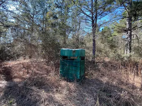 1048 Greens Creek Rd, Carson, MS 39427 photo 10