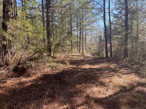 1048 Greens Creek Rd, Carson, MS 39427 photo 6
