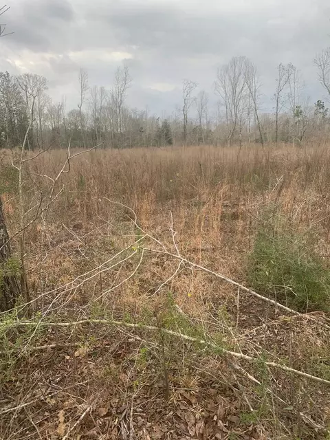 Nn Willow Lane, Bogue Chitto, MS 39629