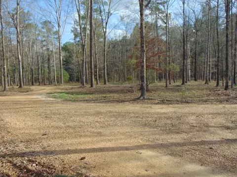 1099 Lott Smith Rd, Wesson, MS 39191 photo 63