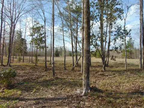 1099 Lott Smith Rd, Wesson, MS 39191 photo 53