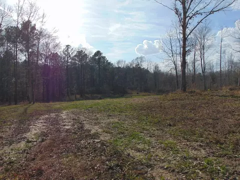 1099 Lott Smith Rd, Wesson, MS 39191 photo 55