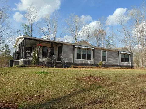1099 Lott Smith Rd, Wesson, MS 39191 photo 69