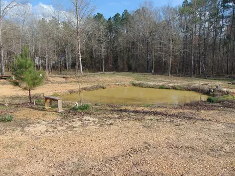 1099 Lott Smith Rd, Wesson, MS 39191 photo 60