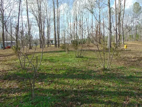 1099 Lott Smith Rd, Wesson, MS 39191 photo 52