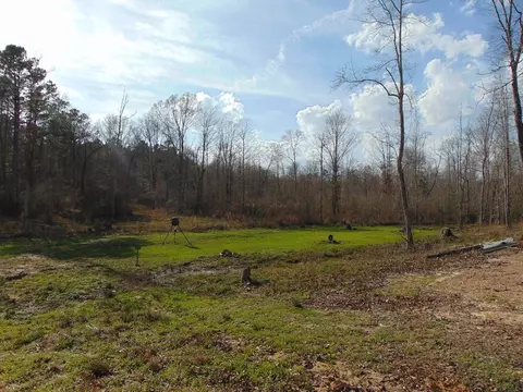 1099 Lott Smith Rd, Wesson, MS 39191 photo 59