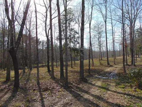 1099 Lott Smith Rd, Wesson, MS 39191 photo 54