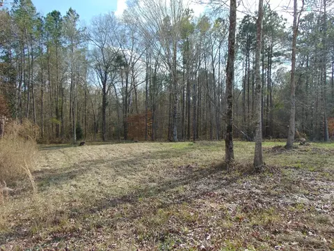 1099 Lott Smith Rd, Wesson, MS 39191 photo 56