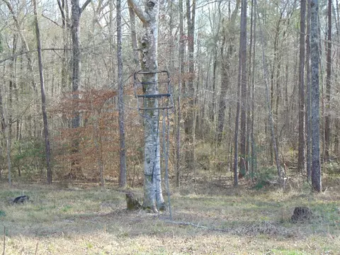 1099 Lott Smith Rd, Wesson, MS 39191 photo 57