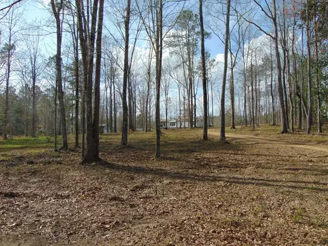 1099 Lott Smith Rd, Wesson, MS 39191 photo 51