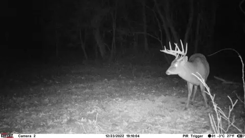 332 Old Highway 84, Natchez, MS 39120