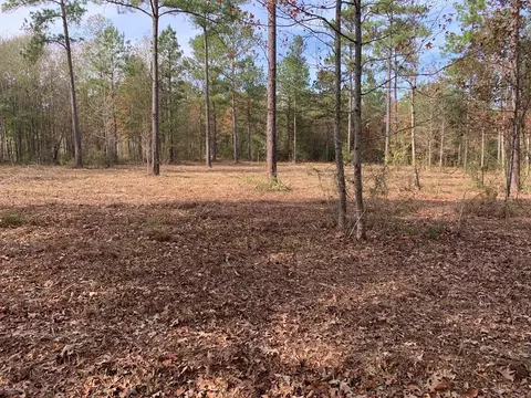 lot Apt 6 Old Hwy 33, Centreville, MS 39631