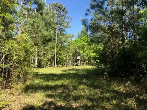 Nnn Lincoln Co Rd Sw, Smithdale, MS