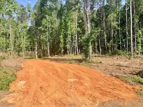 tbd Carruth Dr, Summit, MS 39666 photo 7