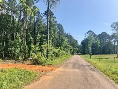 tbd Carruth Dr, Summit, MS 39666 photo 2