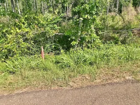 tbd Carruth Dr, Summit, MS 39666 photo 5
