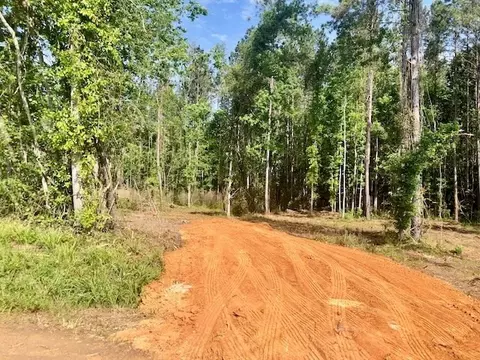 tbd Carruth Dr, Summit, MS 39666 photo 3