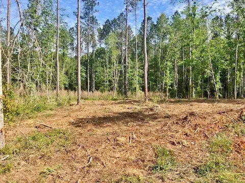 tbd Carruth Dr, Summit, MS 39666