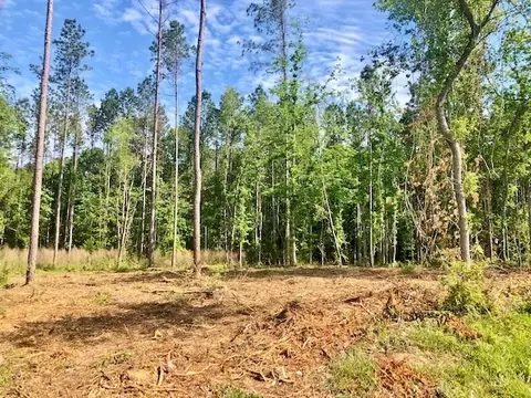 tbd Carruth Dr, Summit, MS 39666 photo 4