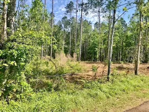 tbd Carruth Dr, Summit, MS 39666 photo 6
