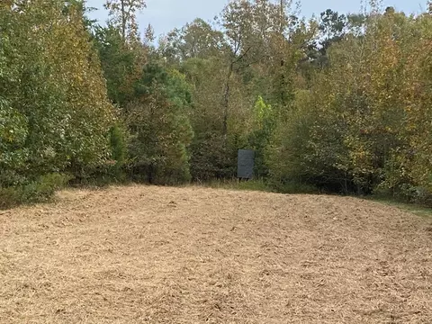 -- Hwy 552, Pattison, MS 39144 photo 16