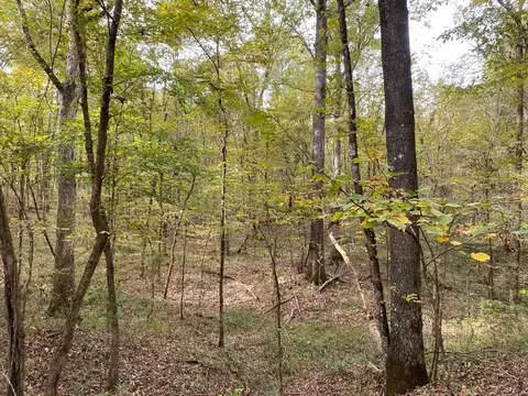 -- Hwy 552, Pattison, MS 39144 photo 22