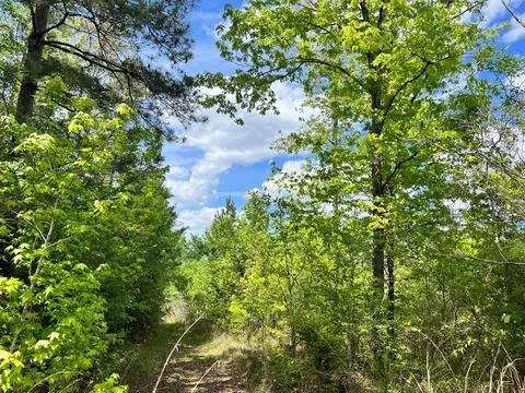 -- Hwy 552, Pattison, MS 39144 photo 3