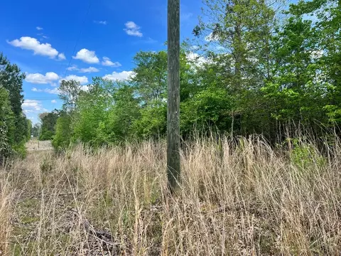 -- Hwy 552, Pattison, MS 39144 photo 6