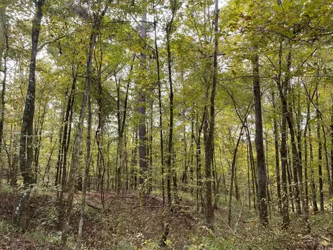 -- Hwy 552, Pattison, MS 39144 photo 26
