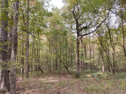 -- Hwy 552, Pattison, MS 39144 photo 25