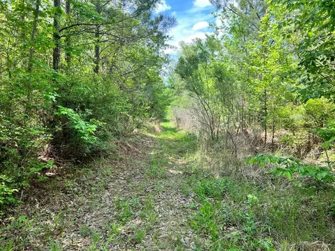 -- Hwy 552, Pattison, MS 39144 photo 5