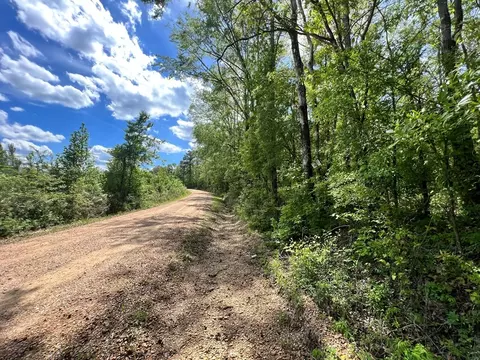 -- Hwy 552, Pattison, MS 39144 photo 9