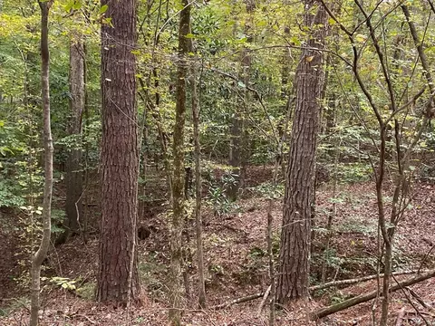 -- Hwy 552, Pattison, MS 39144 photo 24